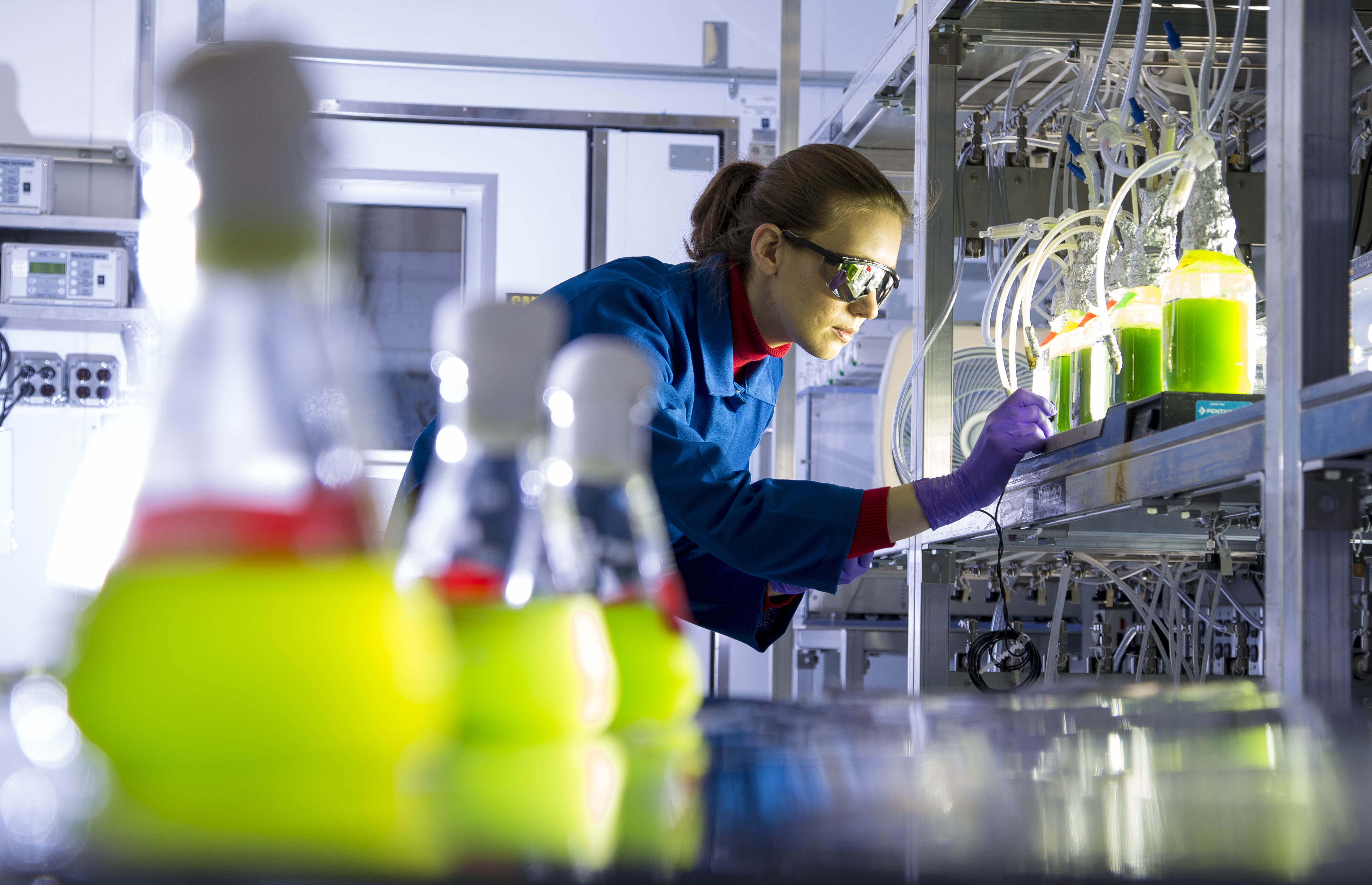 ExxonMobil_Algenforschung