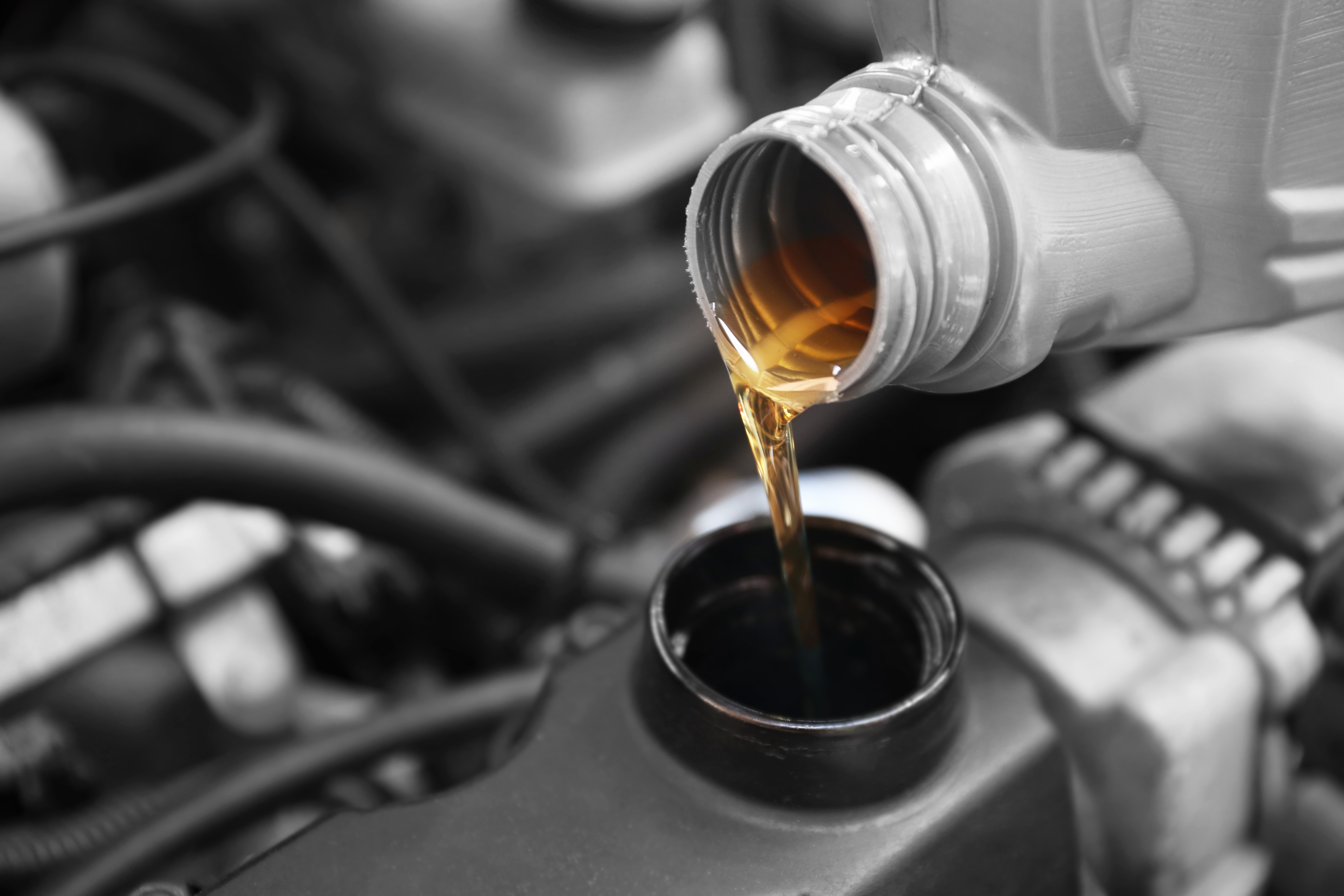 Neues Öl wird in den Motor eines Autos gegeben.