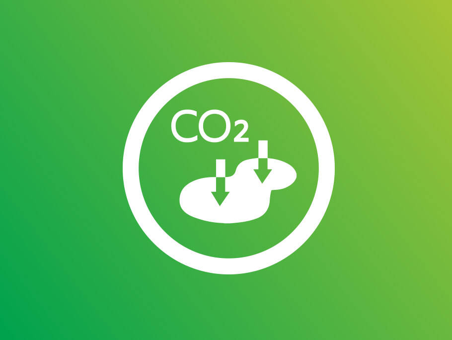 Da Algen CO2bentigen, knnen die Produktionssttten Kohlendioxid aus der Atmosphre abscheiden.